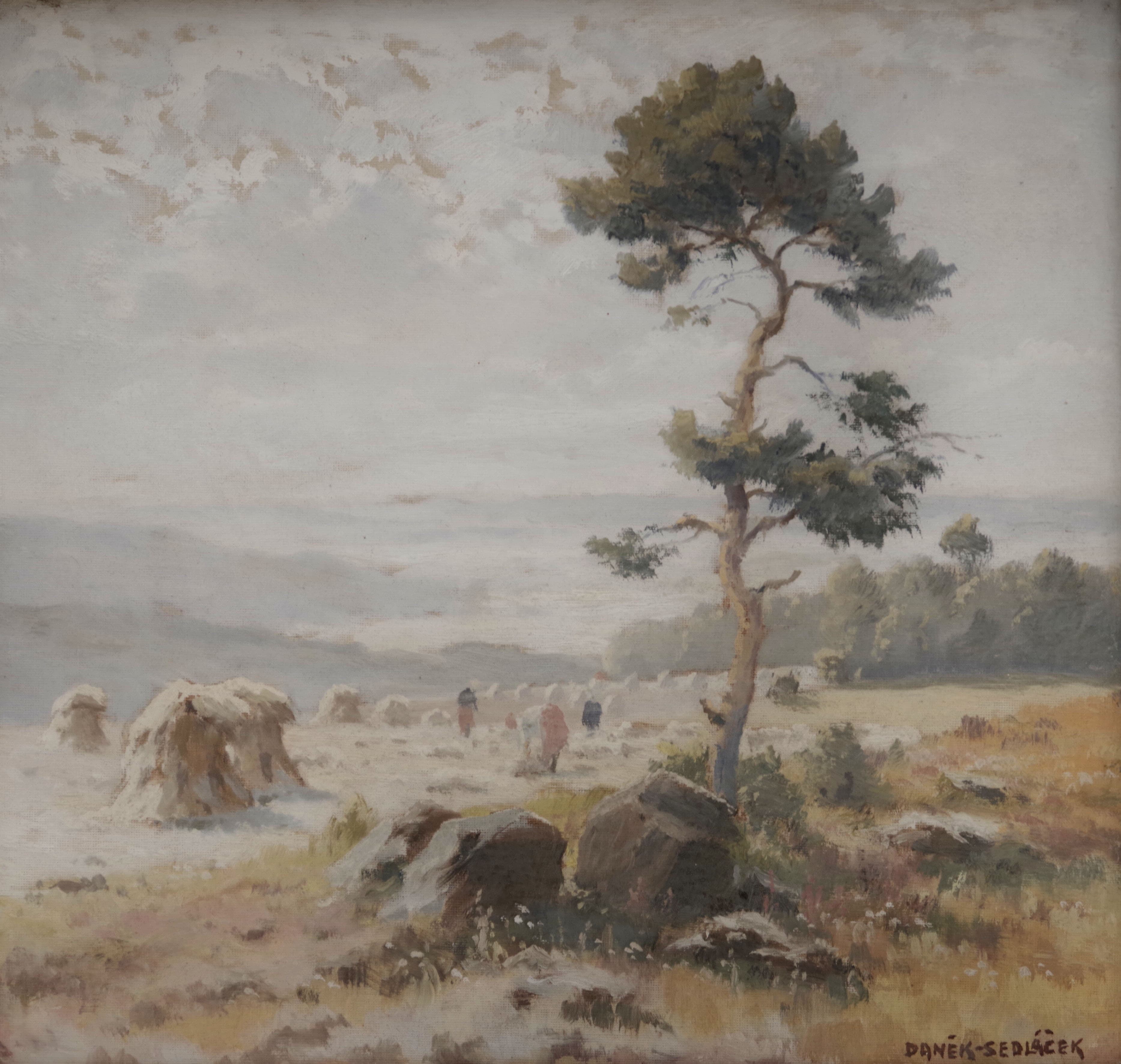 Sklizeň, František Daněk - Sedláček — 2