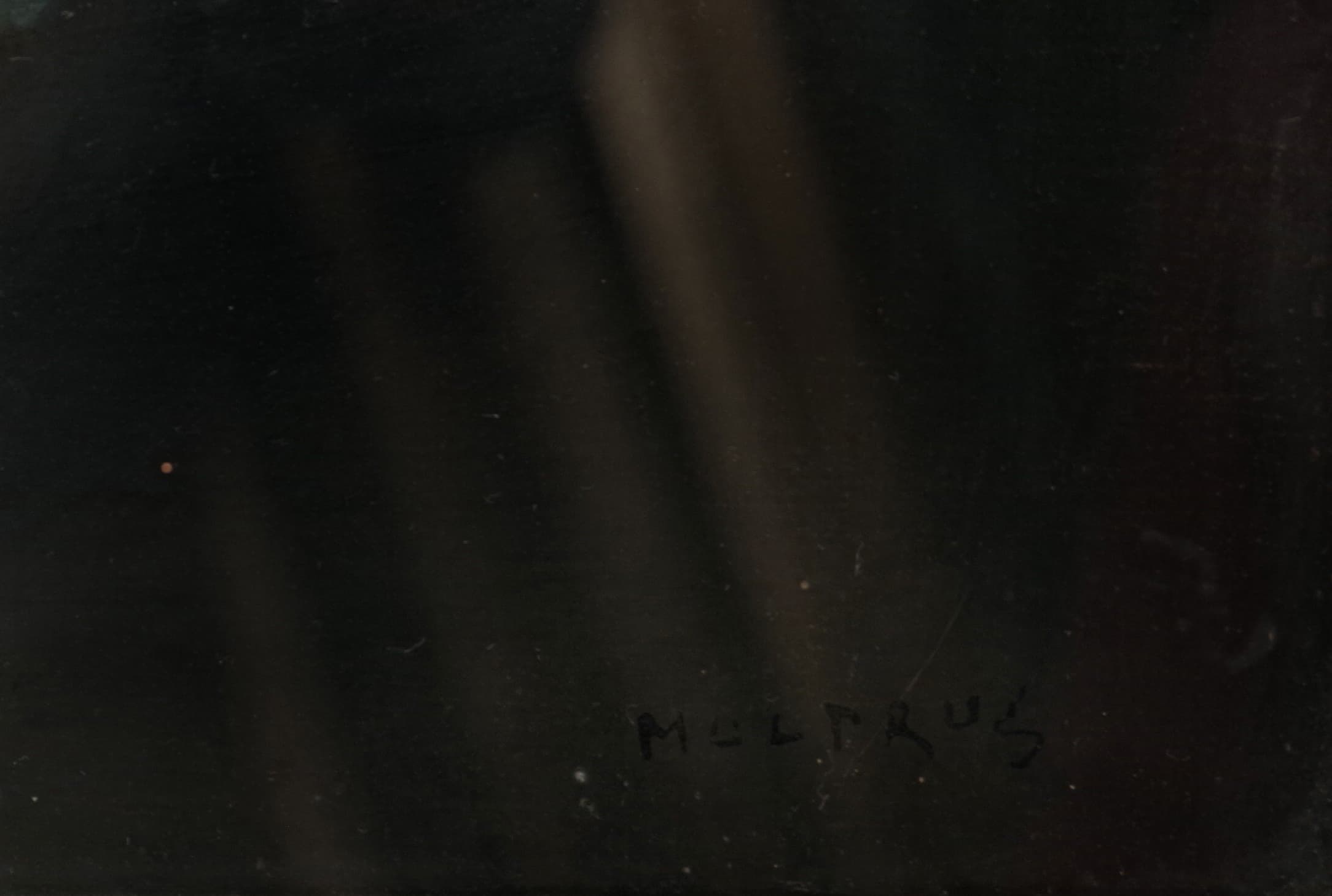Zátiší s maceškami, Josef Multrus — 3