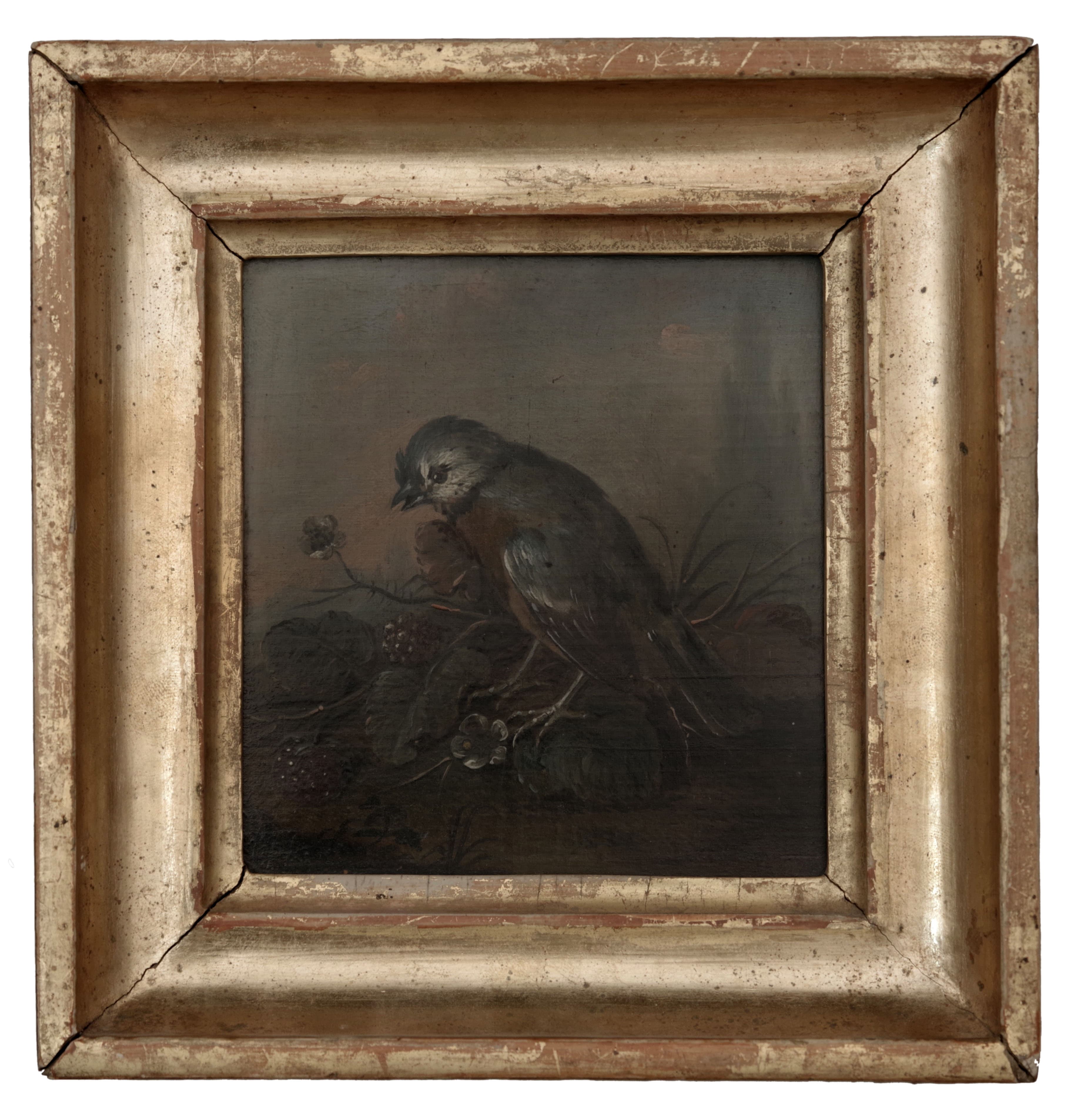 Protějškové obazy: Konopka na maliníku a Pěnkava na ostružiníku, Johann Caspar Hirschely — 3