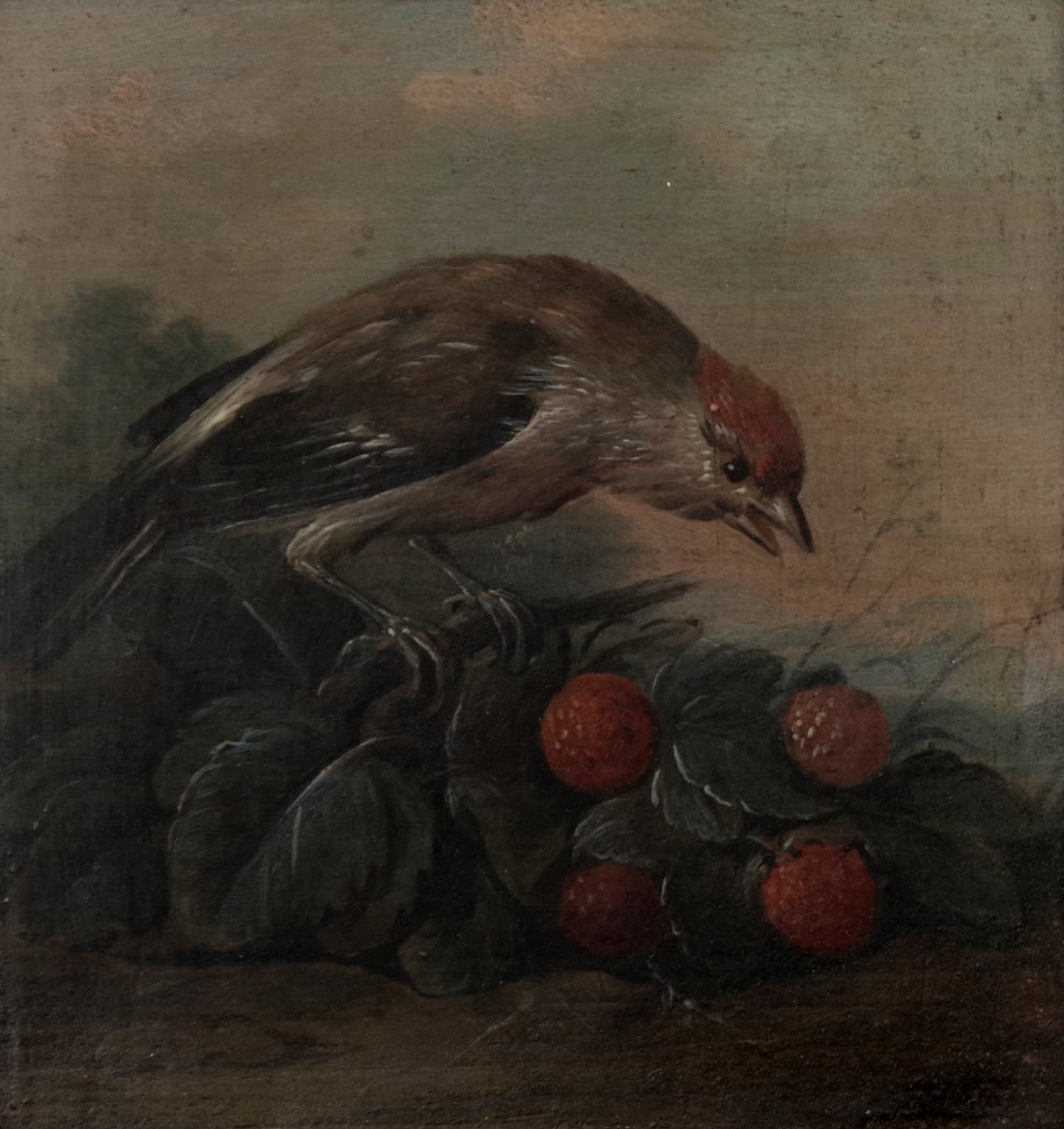 Protějškové obazy: Konopka na maliníku a Pěnkava na ostružiníku, Johann Caspar Hirschely — 4